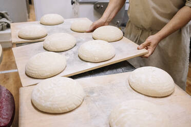 Male chef carrying bread dough on wooden plank in bakery - JCMF01835