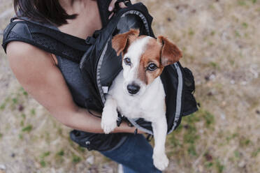 Close-up of woman carrying dog in backpack while walking on land - EBBF02183