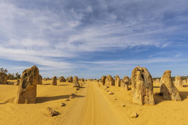 Australien, Ozeanien, Westaustralien, Cervantes, Namburg National Park, Schotterstraße in der Pinnacles Wüste - FOF11893