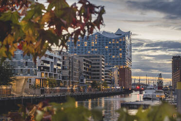 Deutschland, Hamburg, HafenCity mit Sandtorhafen und Elbphilharmonie im Herbst - KEBF01742