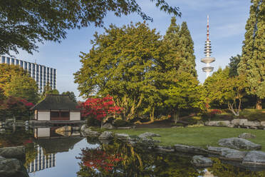 Deutschland, Hamburg, Stadtpark Planten un Blomen im Herbst - KEBF01750