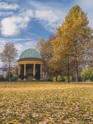 Deutschland, Hamburg, Monopterus im Herbst Hayns Park - KEBF01769