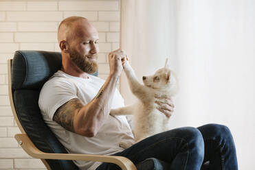 Mittlerer erwachsener Mann, der mit einem Siberian Husky Welpen spielt, während er zu Hause auf einem Sessel sitzt - MIMFF00398