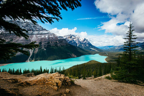 Das blaugrüne Wasser des Peyto Lake im Banff National Park - CAVF91675