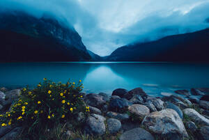 Ein stimmungsvoller Abend am Lake Louise in Banff mit gelben Blumen - CAVF91677