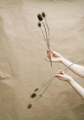 Woman holding flowers on beige background - CAVF91700