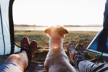 Beine von Freunden mit Hund, die sich bei Sonnenuntergang im Zelt entspannen - EBBF02203