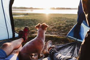 Beine von männlichen und weiblichen Freunden mit Hund entspannen im Zelt bei Sonnenuntergang - EBBF02204
