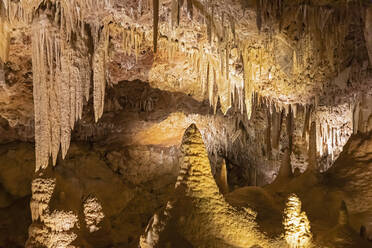 Felsformationen in der Ngilgi-Höhle - FOF11929