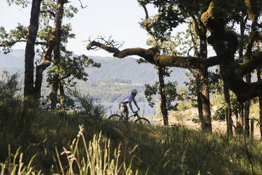 A young man rides his mountain bike on a trail in Oregon. - CAVF91845