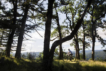 A young man rides his bike on a trail near Cascade Locks, Oregon. - CAVF91847