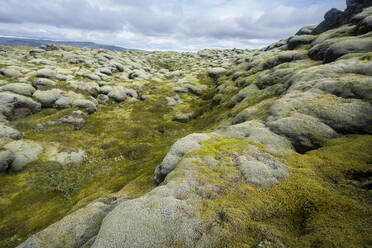 View of moss covered lava field, South Iceland - CAVF91871