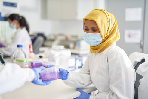 Wissenschaftlerin mit Hidschab und Gesichtsmaske bei der Arbeit im Labor - CAIF30105