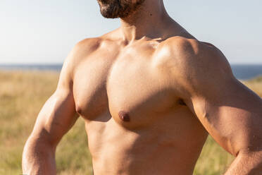 Determined male athlete with strong naked torso standing on grassy hill on sunny day in summer and looking away - ADSF20098