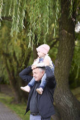 Grandfather carrying granddaughter on shoulders against tree in park - EYAF01456