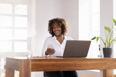 Entrepreneur with laptop using mobile phone while sitting at home office - SBOF02485