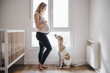 Schwangere Frau mit Händen auf dem Bauch, die einen Hund ansieht, während sie am Fenster steht - EBBF02244