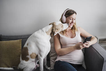 Lächelnde schwangere Frau, die ein Smartphone benutzt, während sie mit ihrem Hund auf dem Sofa im Wohnzimmer sitzt - EBBF02256