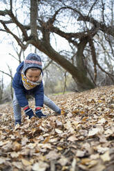 Girl playing with autumn leaves in forest - IFRF00329