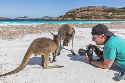 Lächelnder Fotograf mit Kamera bei der Beobachtung von Westlichen Grauen Kängurus am Strand, Westaustralien - FOF11948