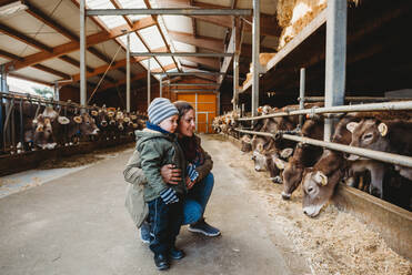 Mutter und Kind betrachten die Kühe im Stall im Winter - CAVF91984