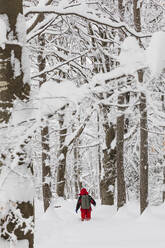 Man walking in deep fresh snow in forest - MRAF00633