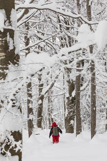 Mann geht im tiefen Neuschnee im Wald - MRAF00633