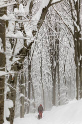 Man with dog walking in deep fresh snow in forest - MRAF00637