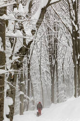 Mann mit Hund beim Spaziergang im tiefen Neuschnee im Wald - MRAF00637