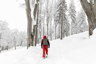 Mann geht im tiefen Neuschnee im Wald - MRAF00640