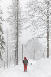 Mann mit Hund beim Spaziergang im tiefen Neuschnee im Wald - MRAF00642