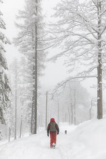 Mann mit Hund beim Spaziergang im tiefen Neuschnee im Wald - MRAF00642