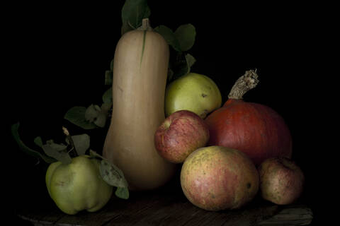 Still life of fresh apples, quinces, red kuri squashes and butternut squashes stock photo