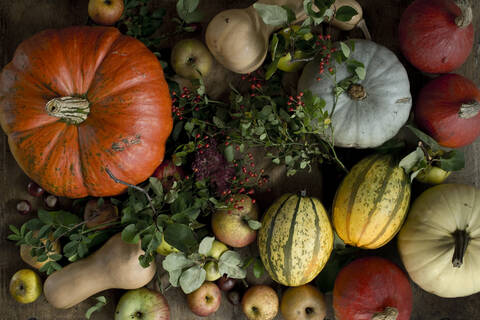 Still life of large variety of fresh pumpkins, squashes and other fruits stock photo