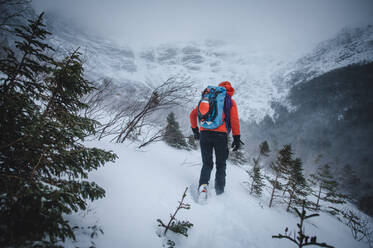 An alpine climber walks through blowing snow while headed to a climb - CAVF92066