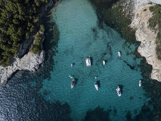 Boats moored in bay, aerial view - DAMF00657