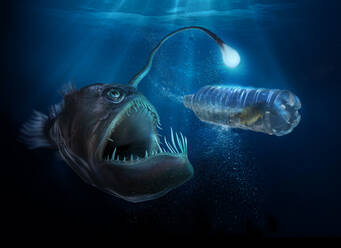 Scary deep sea fish with light examining fish in plastic water