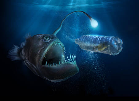 Scary deep sea fish with light examining fish in plastic water bottle - CAIF30221