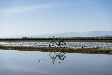 Fahrrad mit Spiegelung in einem Reisfeld im Ebro-Delta vor blauem Himmel - AFVF08061