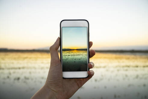 Junge Frau fotografiert mit ihrem Smartphone den Sonnenuntergang über einem Reisfeld im Ebro-Delta - AFVF08084