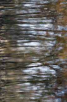 Bäume spiegeln sich auf der Oberfläche des Sees in der Teverener Heide - HLF01241