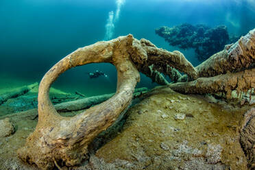 Austria, Tyrol, Lake Samerangersee, Scuba diver in lake - YRF00277