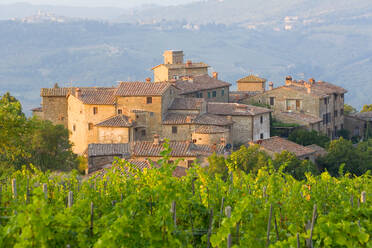 Vineyard and the medieval village of Volpaia in Tuscany, near Florence in Chianti Italy - MINF15787