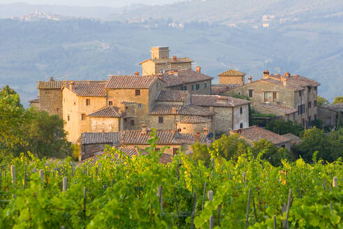 Weinberg und das mittelalterliche Dorf Volpaia in der Toskana, in der Nähe von Florenz in Chianti Italien - MINF15787