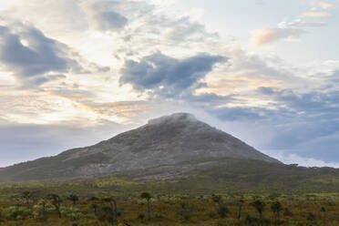 Australien, Ozeanien, Westaustralien, Cape Le Grand National Park, Frenchman Peak, Berge und Ebenen - FOF11986