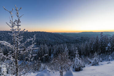 Germany, Baden Wurttemberg, Black Forest at dawn in winter  - WDF06497