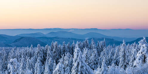 Germany, Baden Wurttemberg, Black Forest seen from Schliffkopf at dawn in winter  - WDF06498