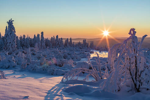 Deutschland, Baden Württemberg, Schwarzwald bei Sonnenaufgang im Winter - WDF06500