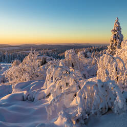 Deutschland, Baden Württemberg, Schwarzwald bei Sonnenaufgang im Winter - WDF06502