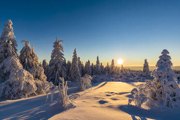 Germany, Baden Wurttemberg, Black Forest at sunrise in winter  - WDF06503